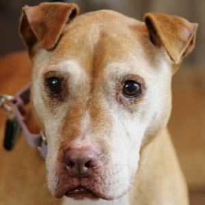 Meet your Posher, Eileen